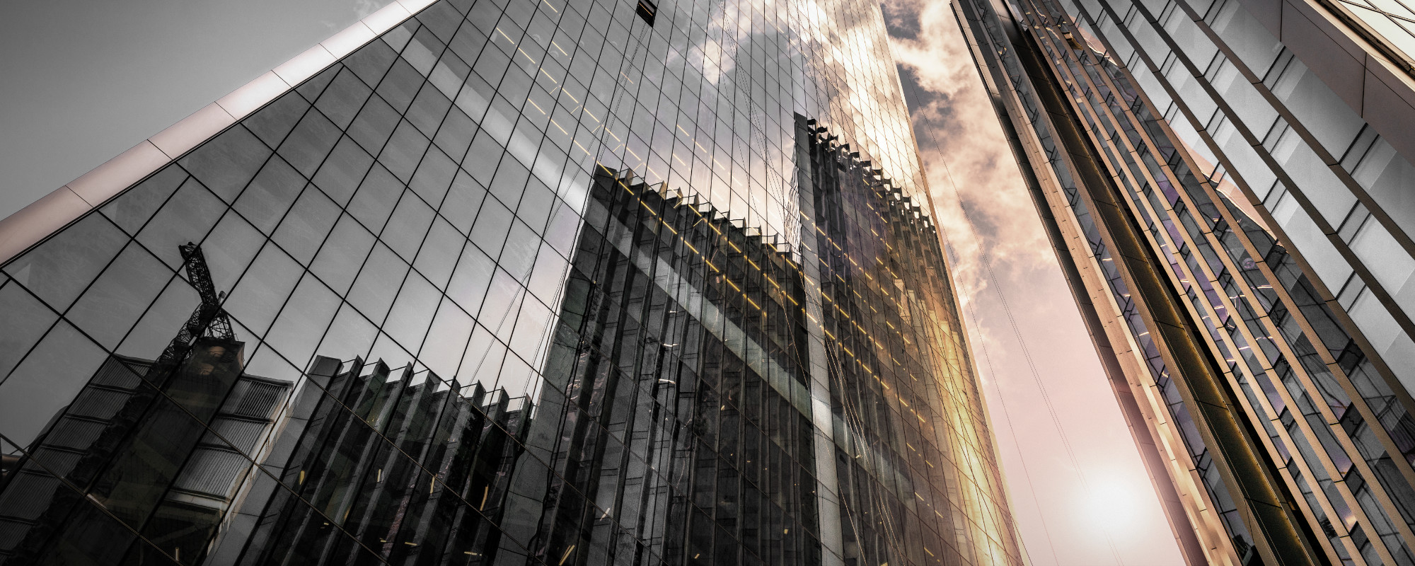 portal.mjmholdings.pl